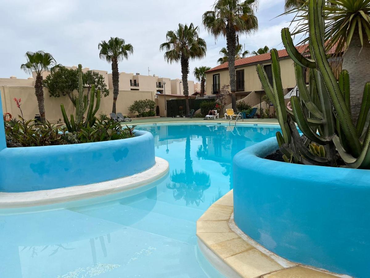 Surf & Chill Bungalow 69, Quiet Green Oasis With Community Swimmingpool Parque Holandes Dış mekan fotoğraf