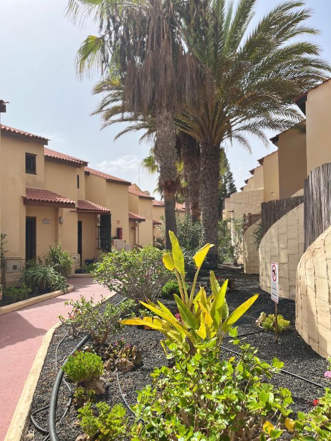 Surf & Chill Bungalow 69, Quiet Green Oasis With Community Swimmingpool Parque Holandes Dış mekan fotoğraf