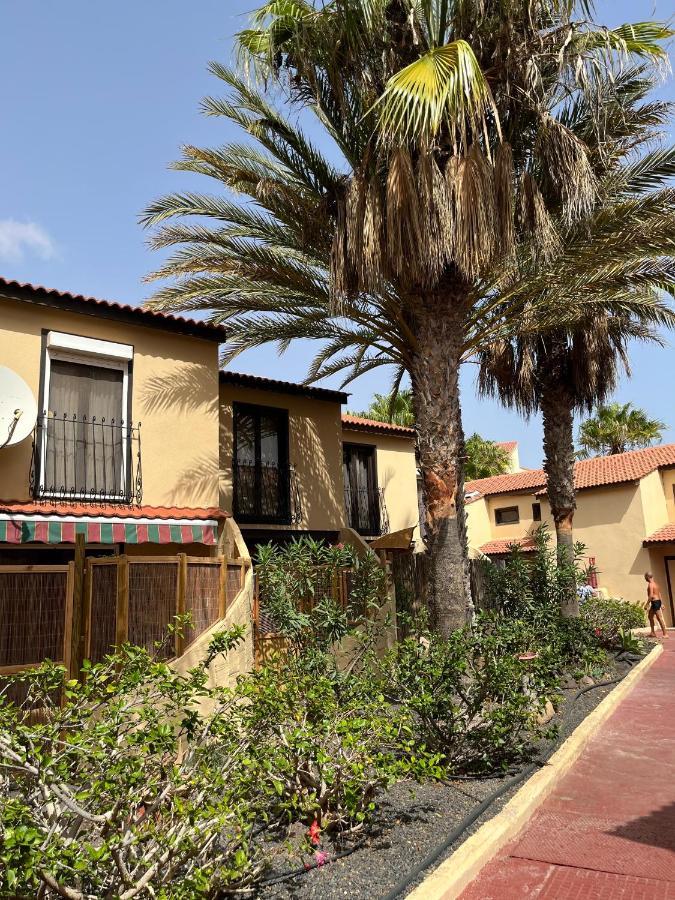 Surf & Chill Bungalow 69, Quiet Green Oasis With Community Swimmingpool Parque Holandes Dış mekan fotoğraf