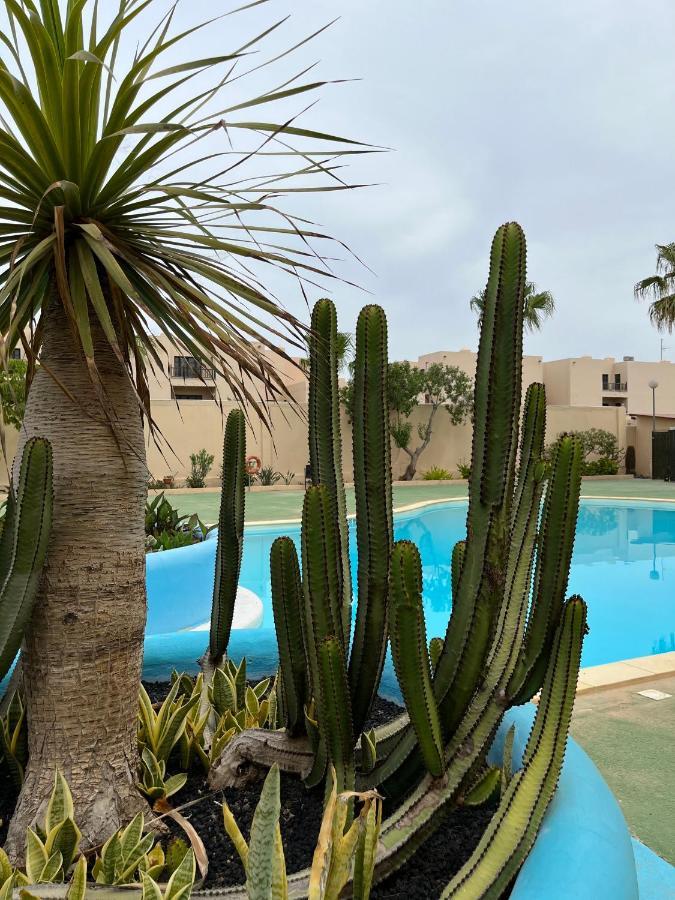 Surf & Chill Bungalow 69, Quiet Green Oasis With Community Swimmingpool Parque Holandes Dış mekan fotoğraf