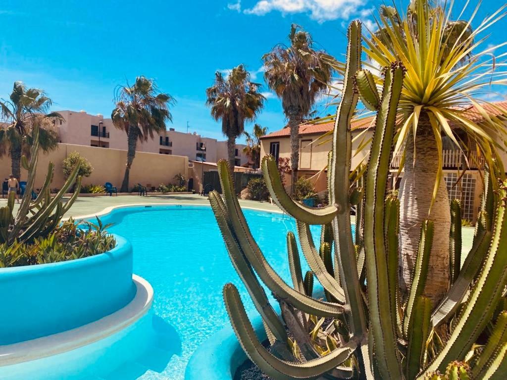 Surf & Chill Bungalow 69, Quiet Green Oasis With Community Swimmingpool Parque Holandes Dış mekan fotoğraf