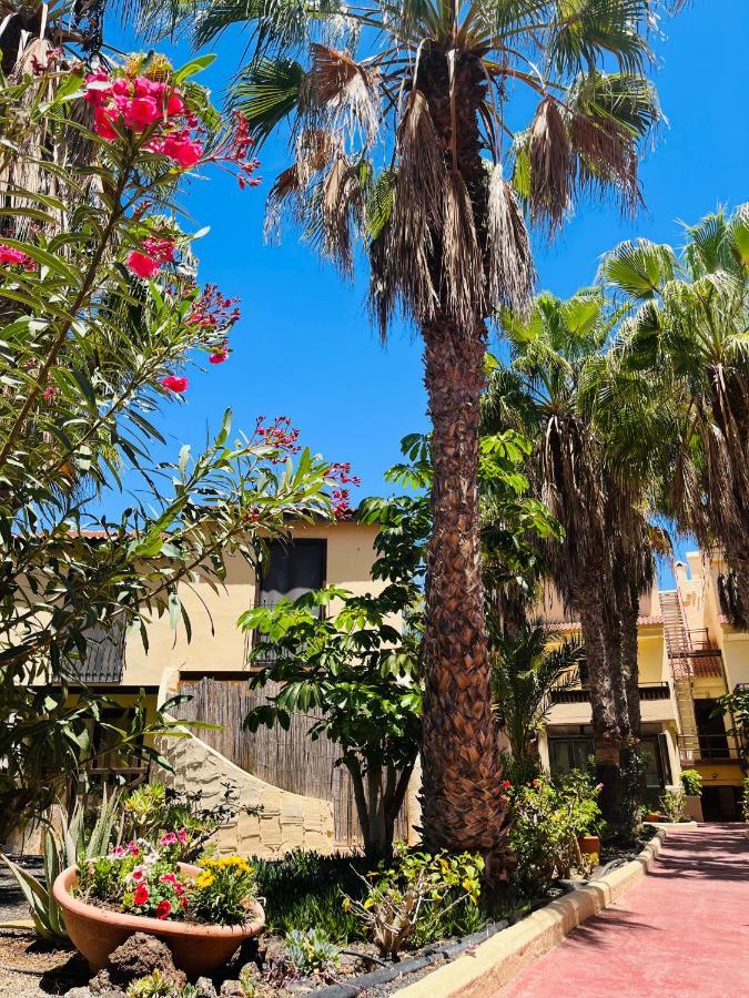 Surf & Chill Bungalow 69, Quiet Green Oasis With Community Swimmingpool Parque Holandes Dış mekan fotoğraf